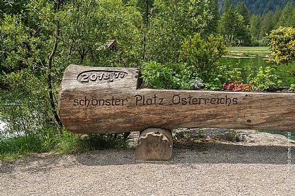 Baumstumpf mit Aufschrift