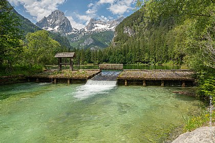 Schiederweiher 2 © manfred-scheucher.at