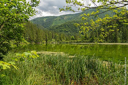 Schiederweiher 5 © manfred-scheucher.at